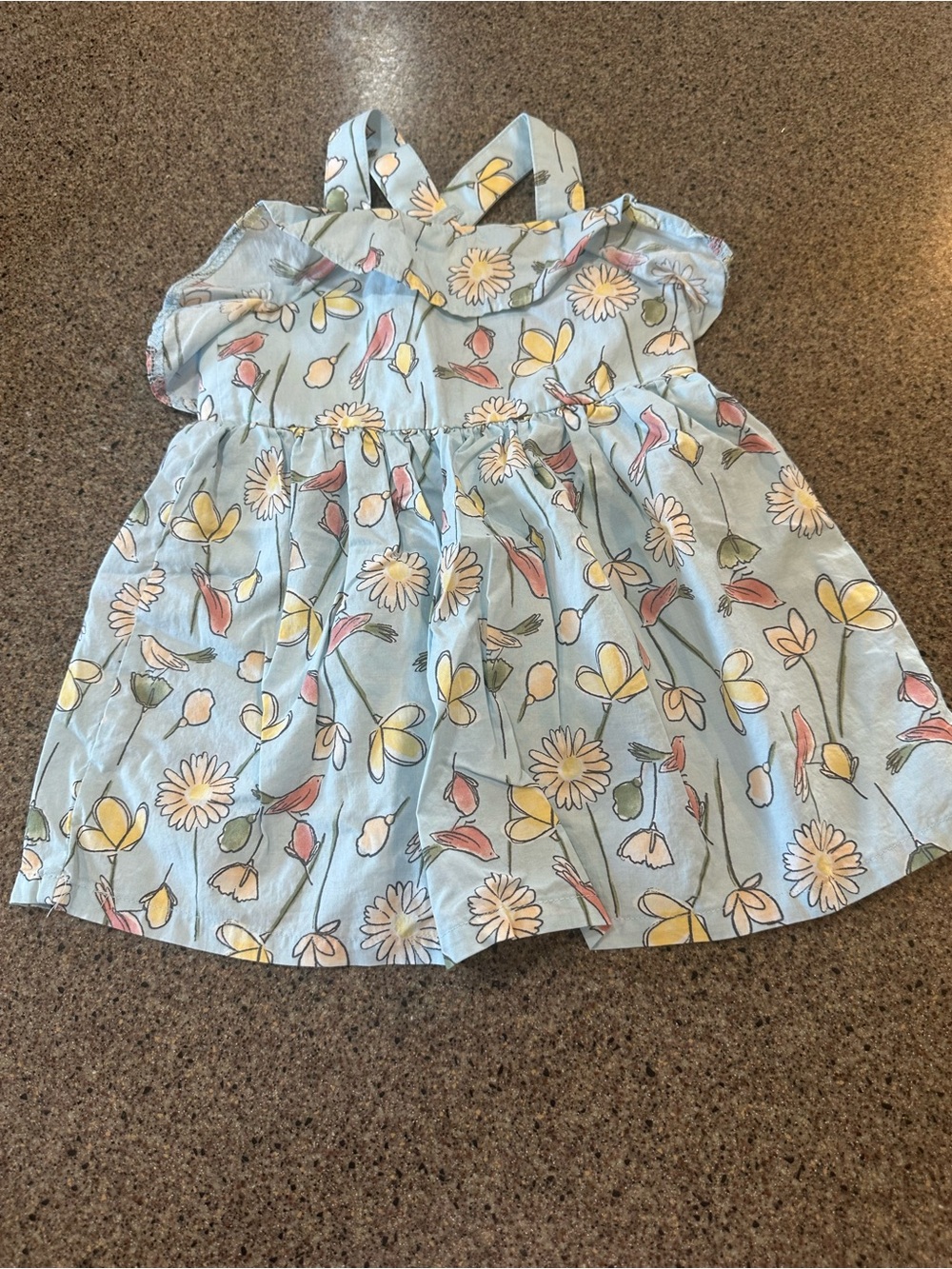 Carter's Light Blue Floral & Bird Dress